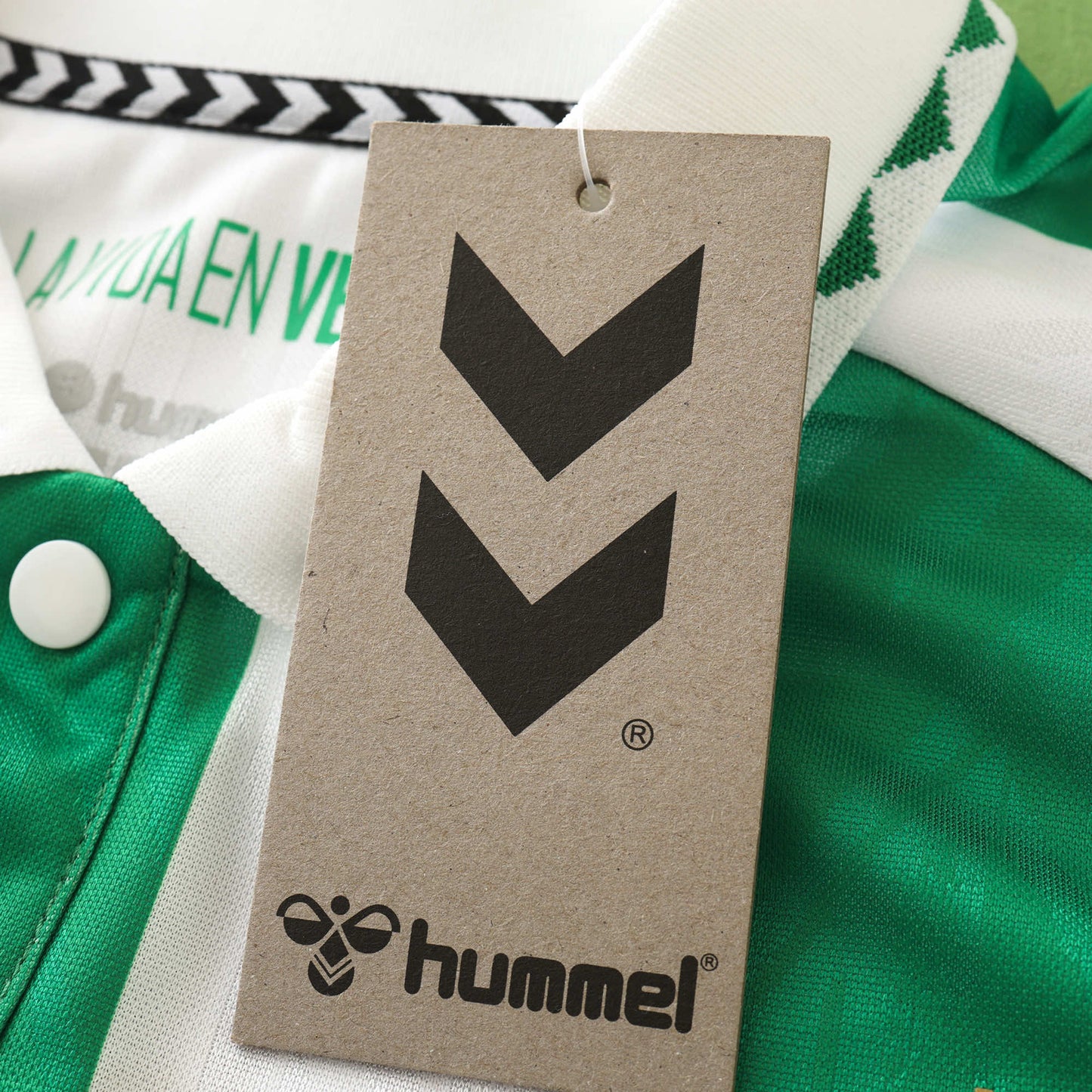 24/25 season Real Betis Balompié home Fan version- GREEN & WHITE