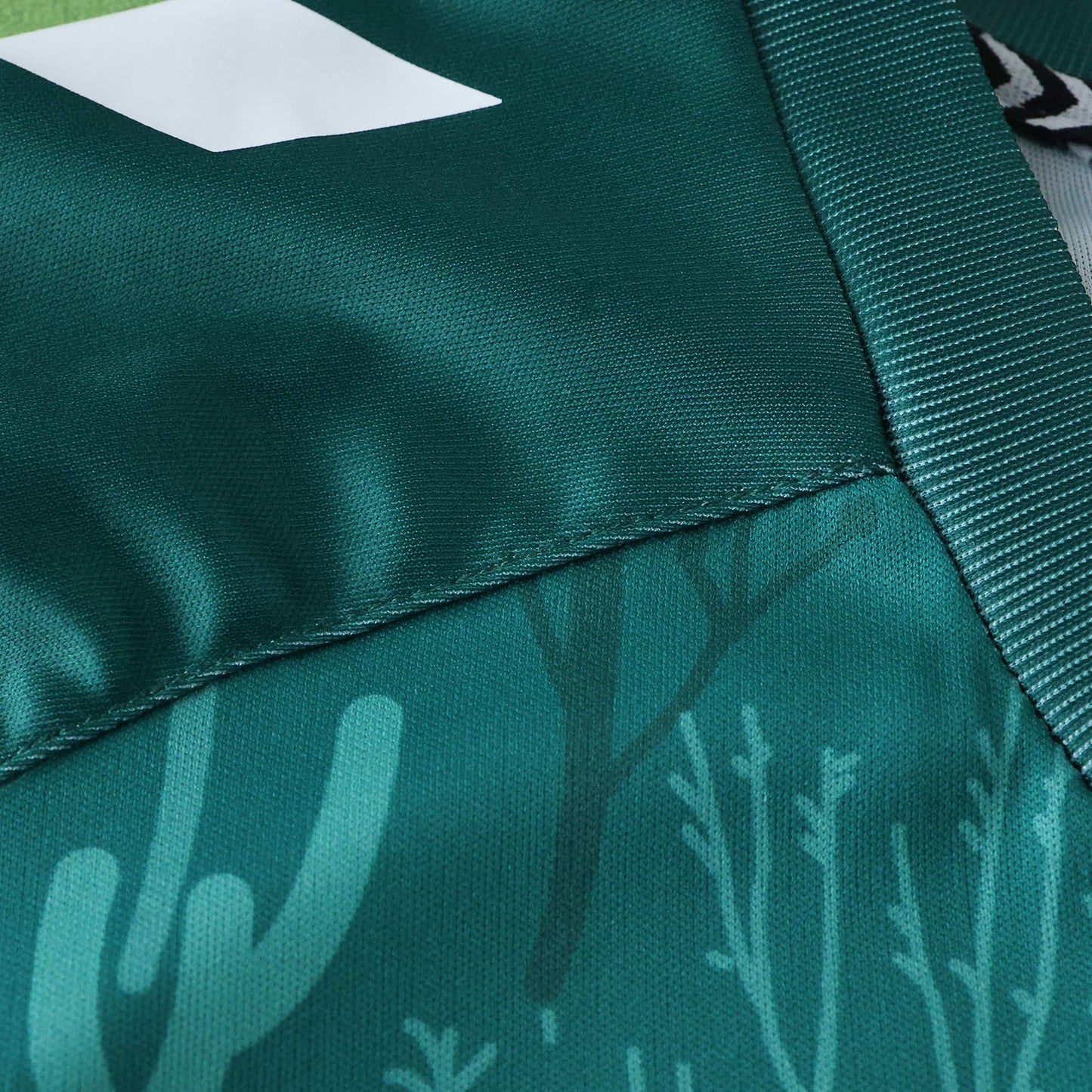 25/26 season Real Betis Balompié Concept version Fan version- GREEN BLUE
