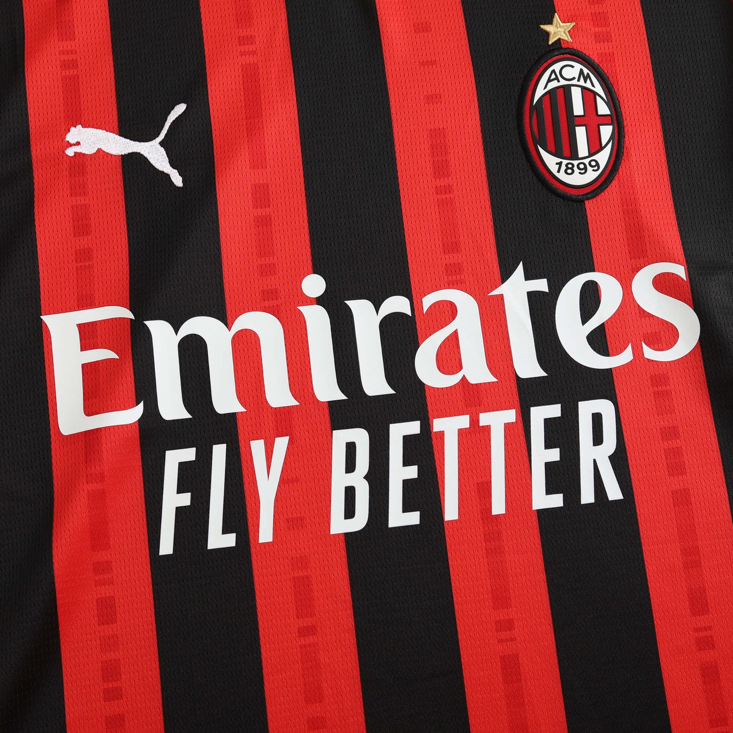 24/25 season AC Milan home Fan version- RED & BLACK