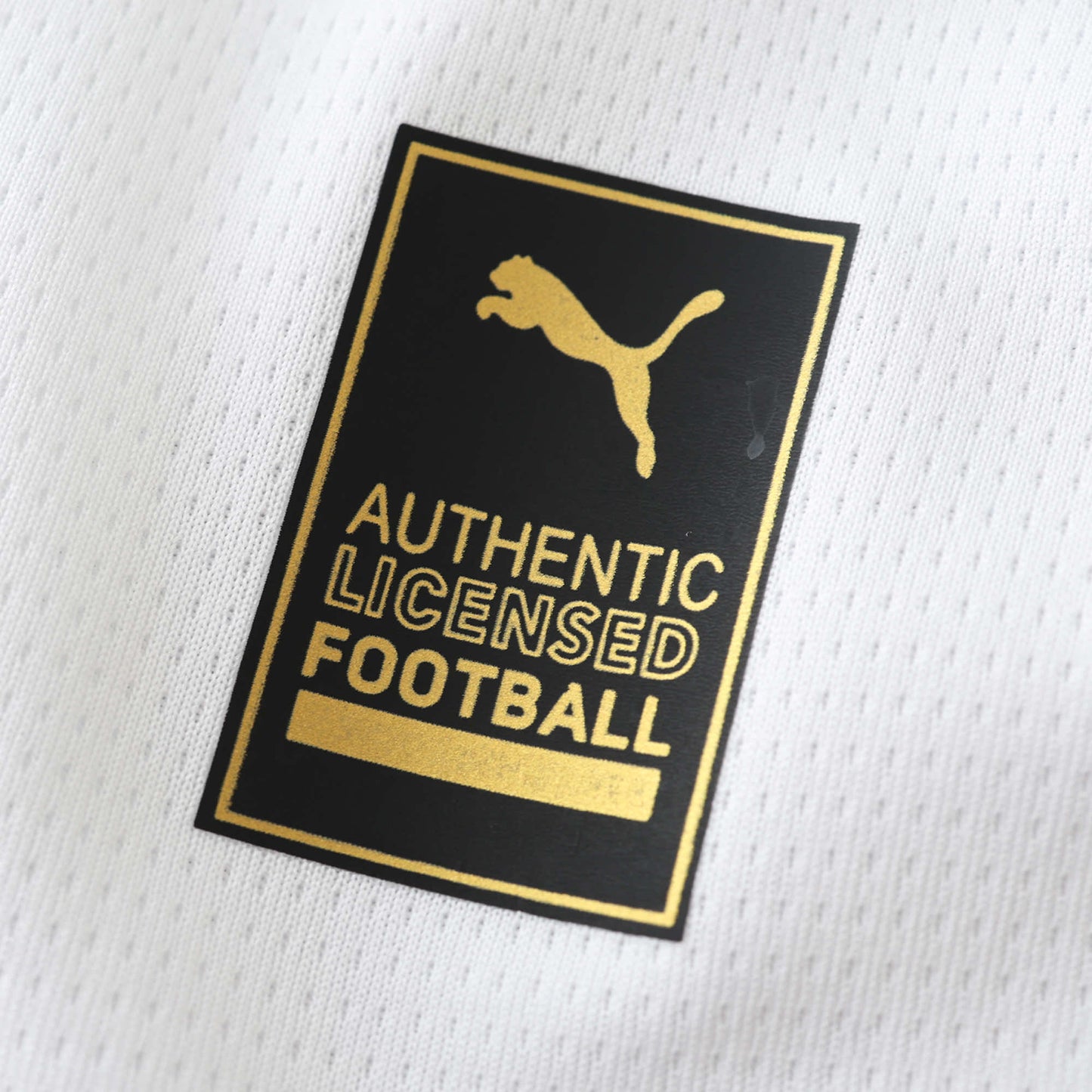 2425 season Borussia Dortmund third Fan version- white