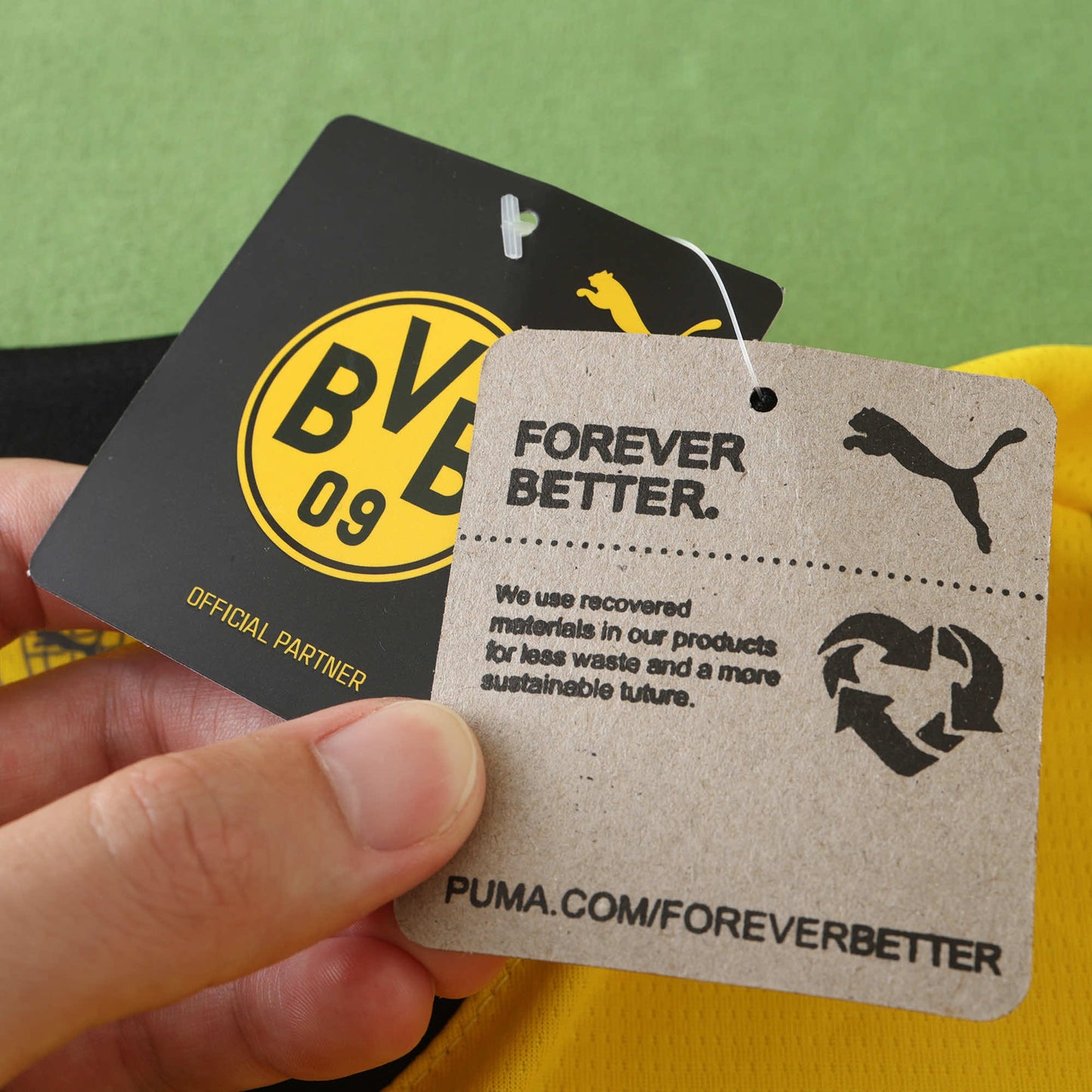 2425 season Borussia Dortmund Champions League version Fan version