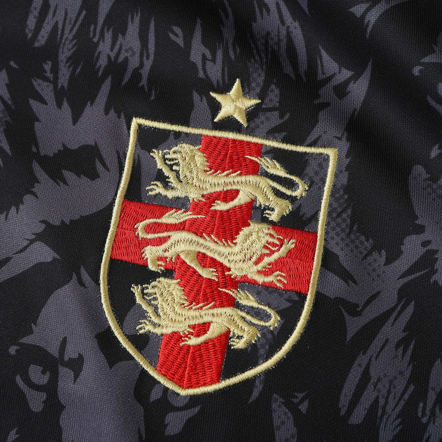 24/25 UEFA England LION Edition TEE - BLACK