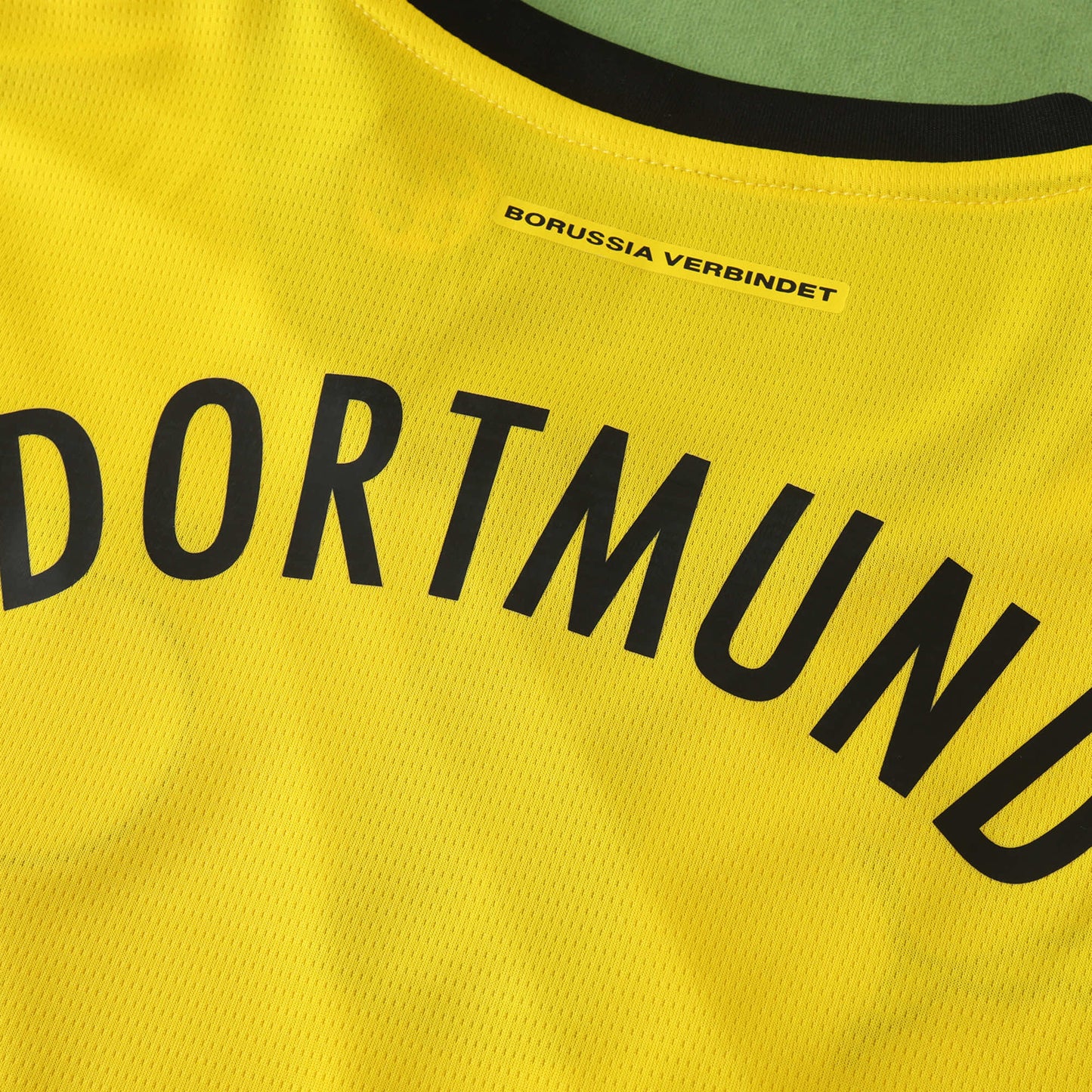 2425 season Borussia Dortmund Champions League version Fan version