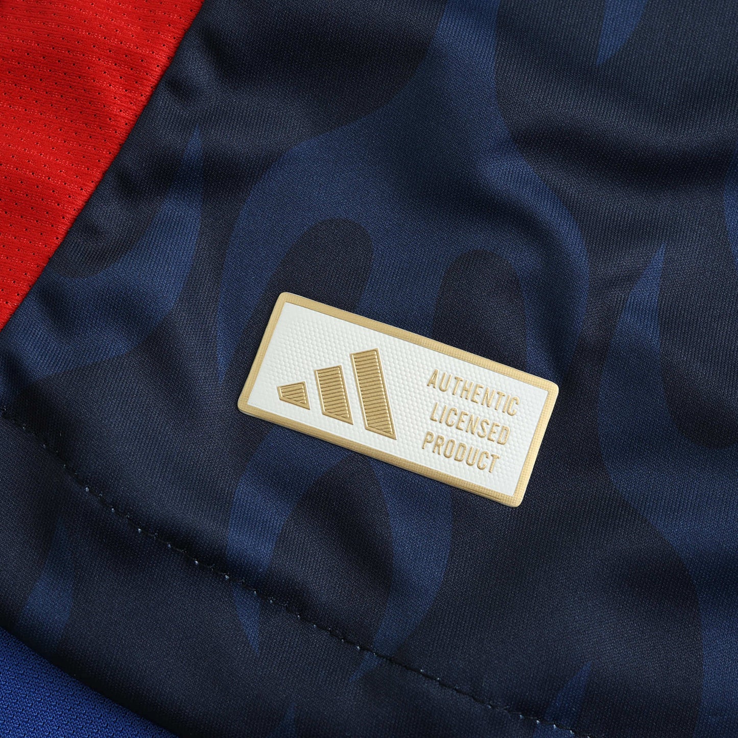 2024 Japan Player TEE - BLUE