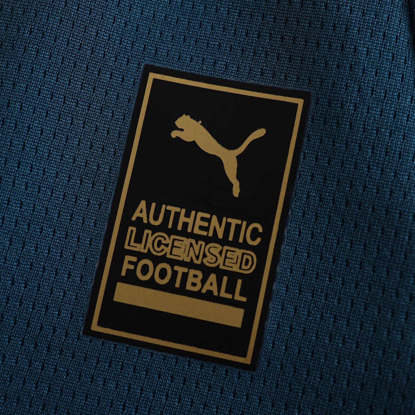 24/25 season Marseille away Fan version- TURQUOISE