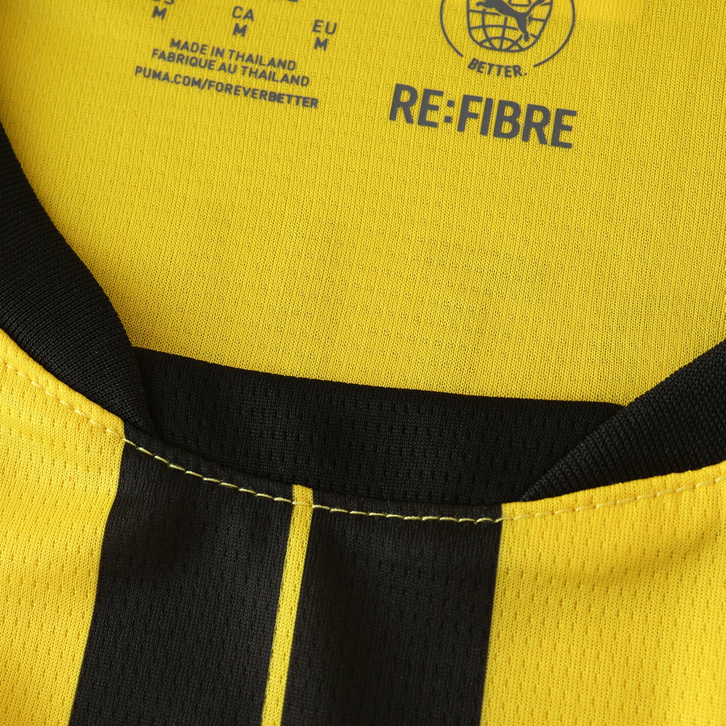 2425 season Borussia Dortmund Champions League version Fan version