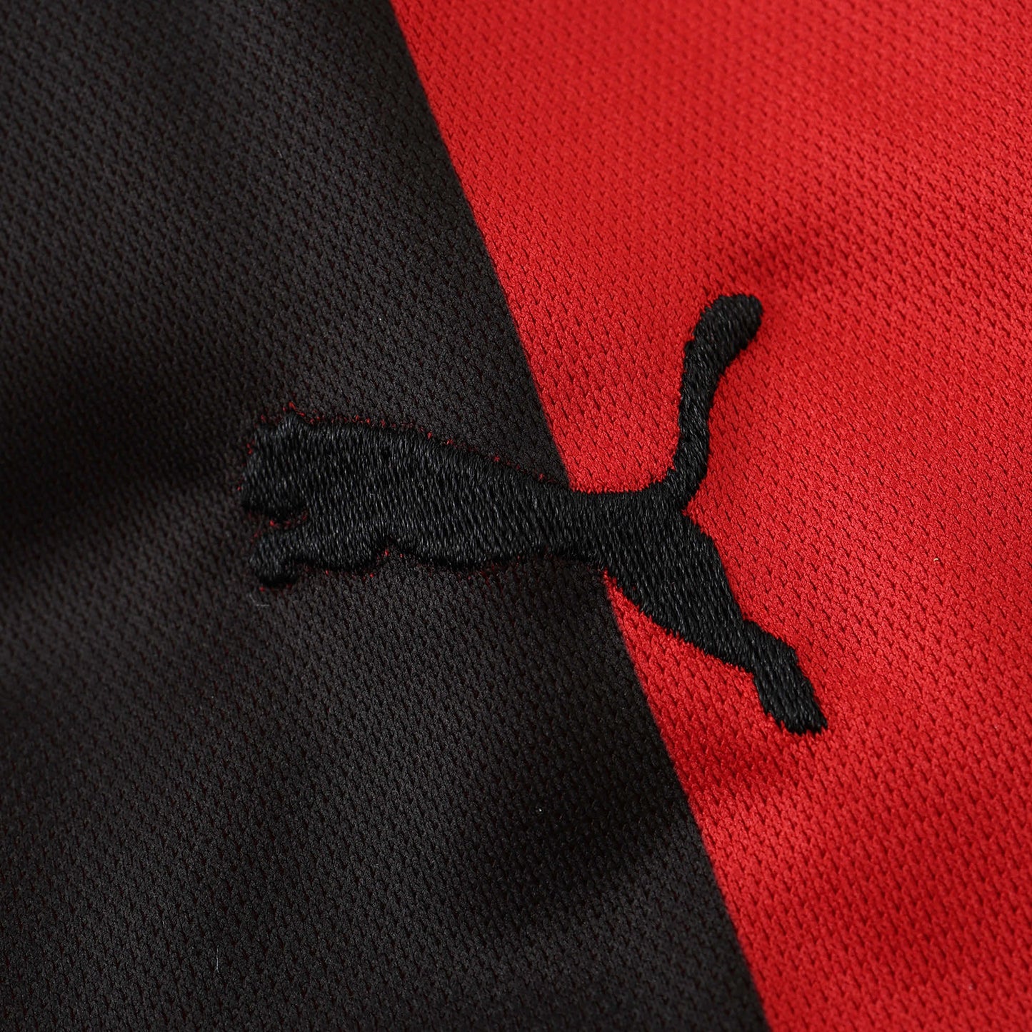 24/25 season A.C. Milan 125 Anniversary Long Sleeved Fan version- RED & BLACK